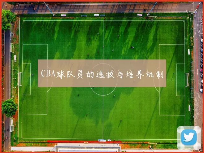 CBA球队员的选拔与培养机制