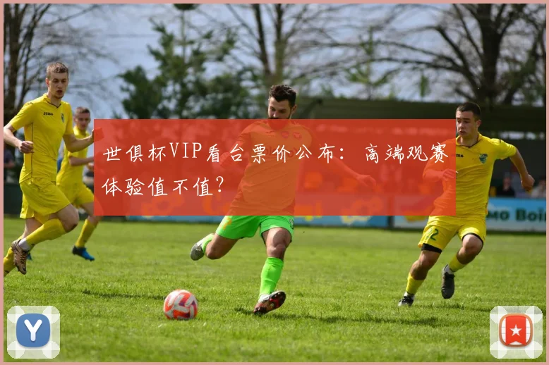 世俱杯VIP看台票价公布：高端观赛体验值不值？