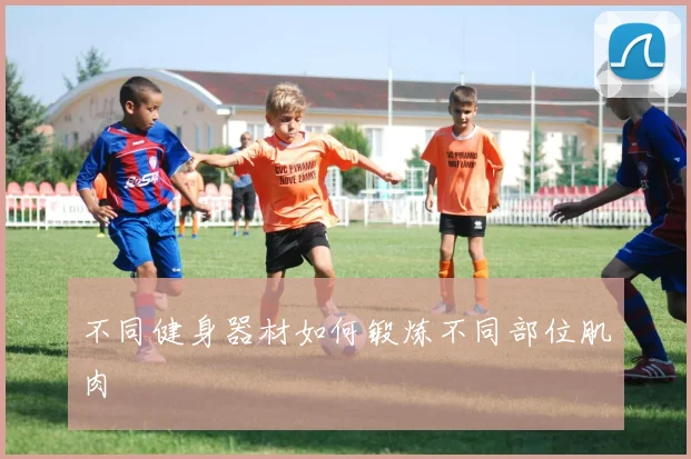 不同健身器材如何锻炼不同部位肌肉