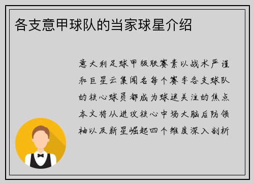 各支意甲球队的当家球星介绍